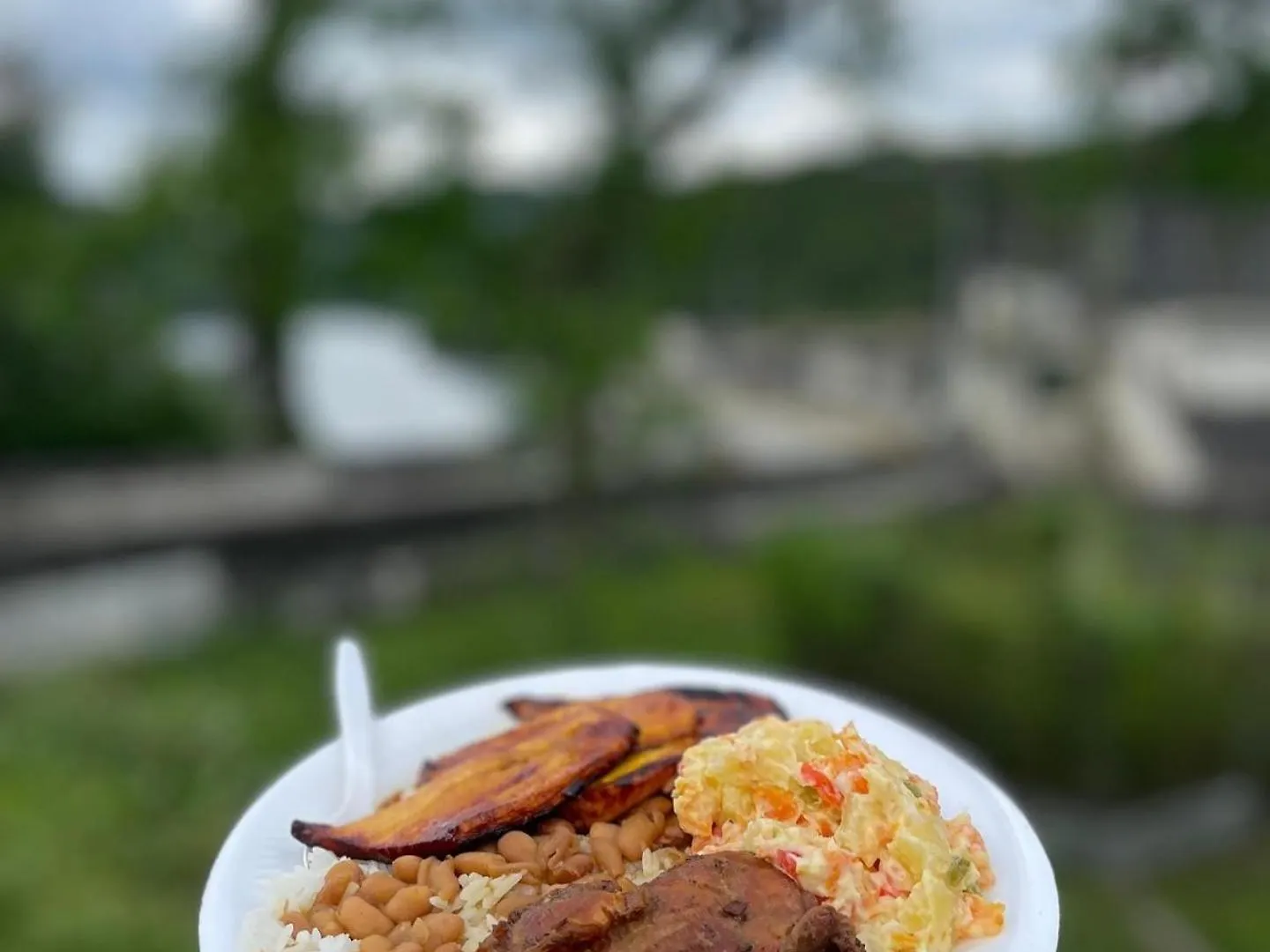 Camping Cabanas En Las Montanas San Cristobal República Dominicana